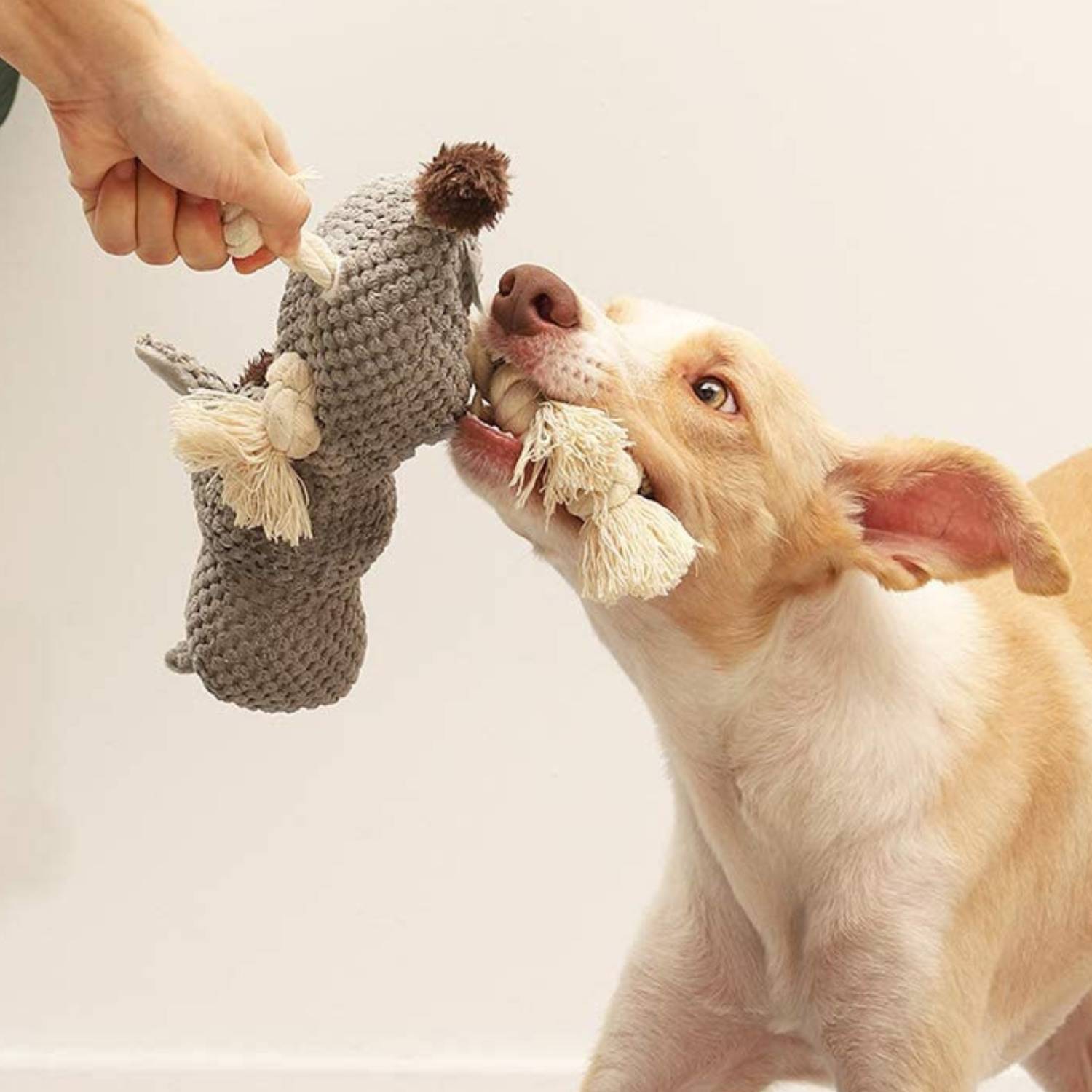 Squeaky Dog Chew Toy, Plush Donkey: image 4