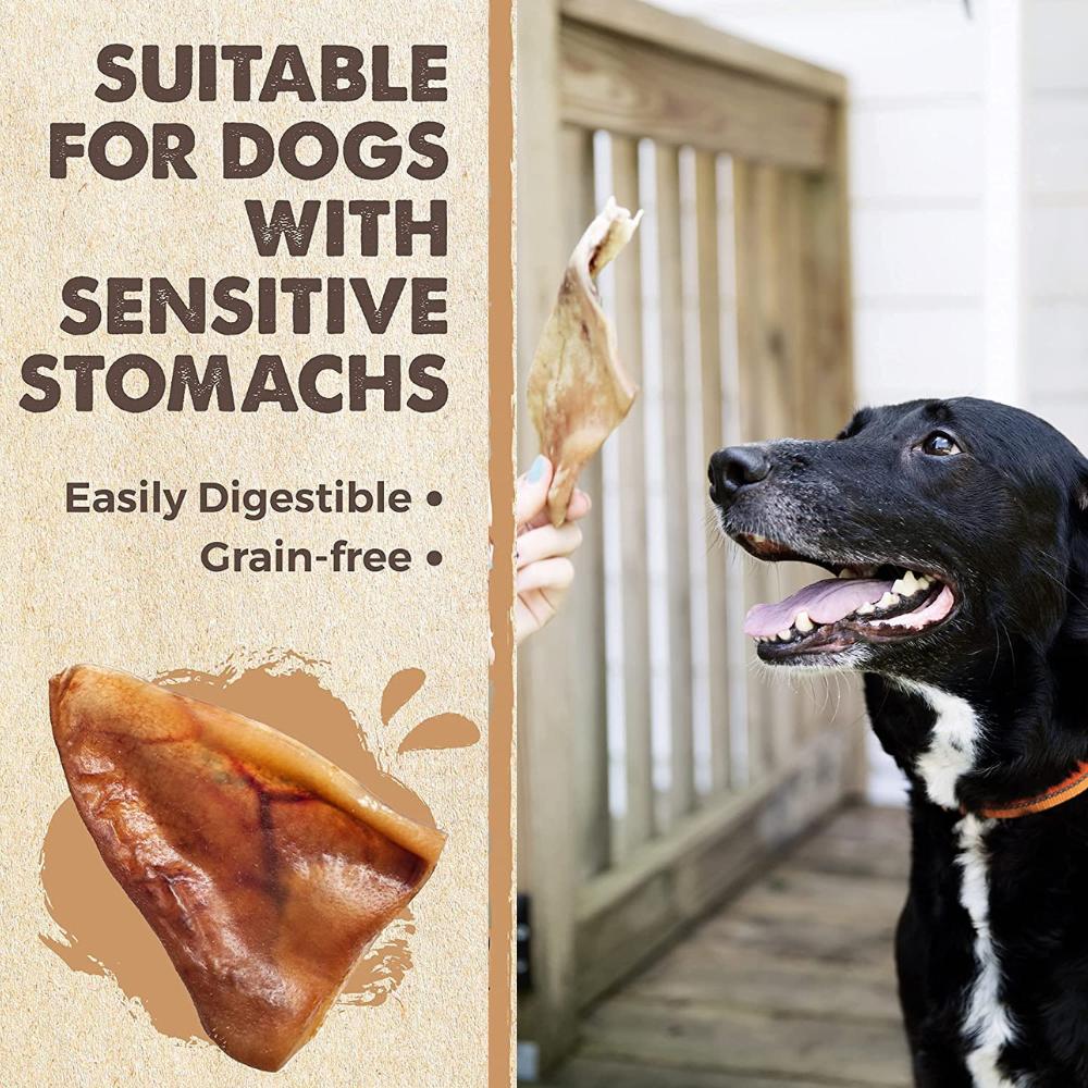 Natural Pork Ear Dog Treat, x12 Pack: image 3