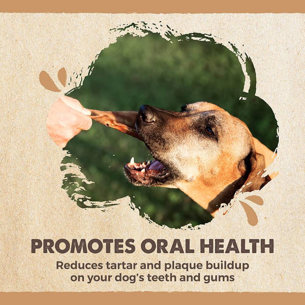 Natural Pork Ear Dog Treat, x12 Pack: image 5